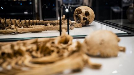 Deux squelettes de Vikings de plus de 1000 ans s'avèrent de la&nbsp;même famille, après leur cartographie ADN (Juin 2021). (IDA MARIE ODGAARD / RITZAU SCANPIX)