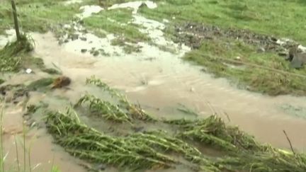 Intempéries : une tornade dans le Morbihan