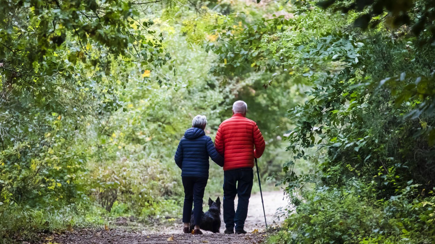 L'espérance de vie en bonne santé des femmes atteint 77 ans et 75,5 ans pour les hommes en France