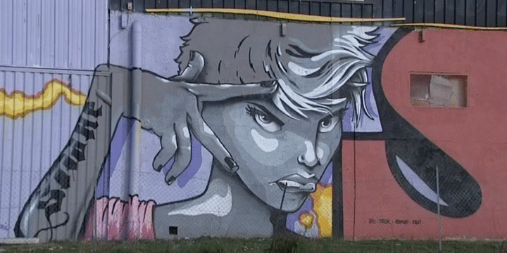 L'art du grafitti selon Snake donne vie à un banal mur gris !
 (France3/Culturebox)