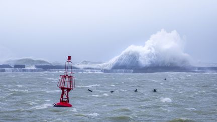 De fortes rafales de vent et vagues à Boulogne-sur-Mer (Pas-de-Calais), le 21 février 2022. (YANN AVRIL / BIOSPHOTO / AFP)