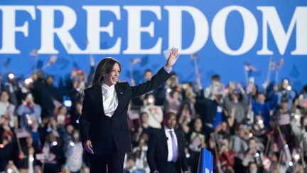 La candidate démocrate à la présidentielle américaine 2024, Kamala Harris, lors d'un meeting à Washington. (SAUL LOEB / AFP)