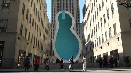 La piscine en forme d'oreille de Van Gogh à New York.
 (Johannes Schmitt-Tegge/dpa/picture-alliance/MaxPPP)