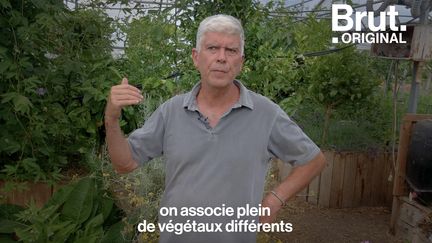 Cette ferme expérimentale fonctionne selon les principes de la permaculture et de l’écoculture. Brut Nature s'est rendu sur place.