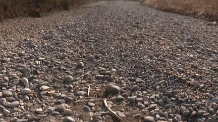 Sécheresse : un manque d'eau préoccupant dans plusieurs départements français (FRANCE 3)