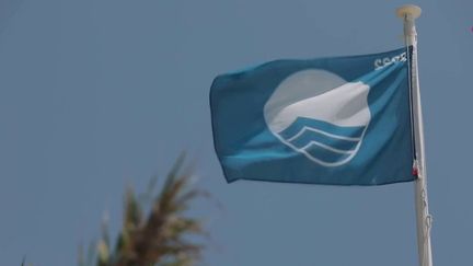 Vacances : "Pavillons bleus", un label de contrôle de qualité de l'eau des plages remis en question