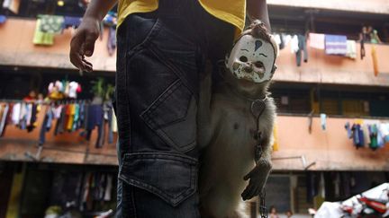 Un singe et son dresseur dans un bidonville &agrave; Jakarta (Indon&eacute;sie), le 27 ao&ucirc;t 2012. (ACHMAD IBRAHIM / AP / SIPA)