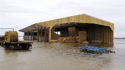 Ferme inondée à L'Aiguillon-sur-Mer (Vendée) (AFP - Bertrand GUAY)