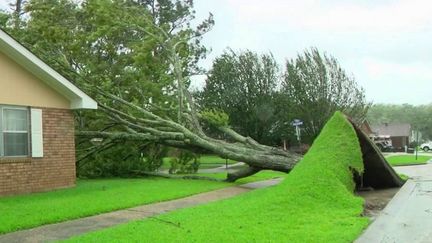 États-Unis : Ida, rétrogradée en tempête tropicale, mais tout de même destructrice (France 2)