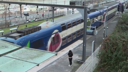 Fraude dans les transports en commun : les contrôleurs pourront vérifier les adresses des contrevenants dès ce mercredi (france 2)