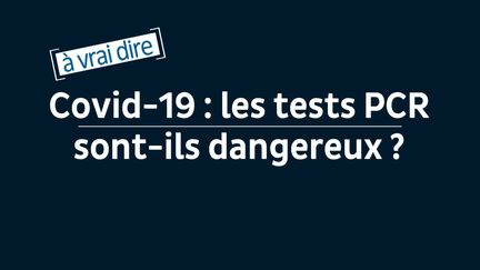 capture d'écran&nbsp; (TV5MONDE)