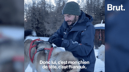 Après des années à être imprimeur, il a décidé de devenir musher, ou conducteur de chiens de traineau. Brut a rencontré Steve et ses chiens en Savoie, et il explique ce qu’il trouve enrichissant dans son métier. (BRUT / FRANCEINFO)