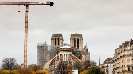 La grue et les échafaudages du chantier de restauration de Notre-Dame de Paris, le 16 novembre 2020 (THOMAS COEX / AFP)