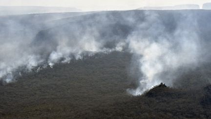 Les incendies qui ravagent la forêt de la région de Santa Cruz, dans l'est de la Bolivie. (AIZAR RALDES / AFP)