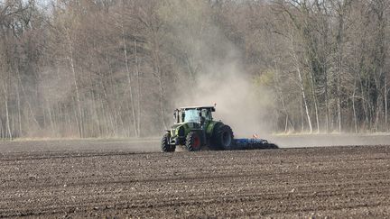 Un tracteur dans un champ touché par la sécheresse à&nbsp;Ohnenheim (Bas-Rhin). (JEAN-MARC LOOS / MAXPPP)