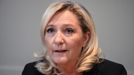 Marine Le Pen, présidente du Rassemblement national, lors d'une conférence de presse à Nîmes (Gard), le 14 février 2020. (PASCAL GUYOT / AFP)