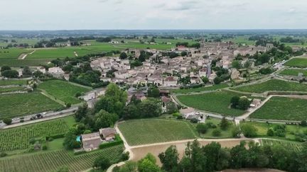 JO de Paris 2024 : à la découverte de Saint-Emilion et ses domaines viticoles qui veulent accueillir la flamme (FRANCE 2)