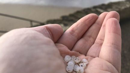 Des granulés de plastique trouvés sur une plage de Loire-Atlantique. (KATE STENT / MAXPPP)