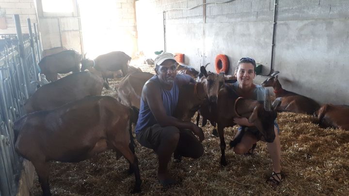 Didier et Annabelle, un couple d’éleveurs caprins fromagers installés à la "Ferme des Divols", à Beaulieu (Ardèche). (FARIDA NOUAR / RADIO FRANCE)