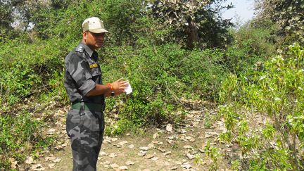 Un militaire indien enqu&ecirc;te dans la for&ecirc;t o&ugrave; une touriste suisse a &eacute;t&eacute; victime d'un viol collectif pr&egrave;s de Gwalior (Inde), le 16 mars 2013. (STRDEL / AFP)