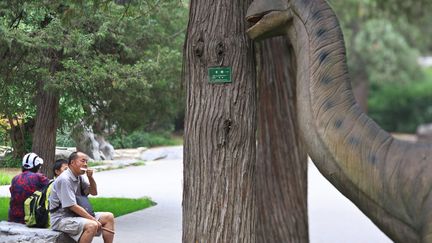 Attention, un dinosaure se cache dans ce parc de P&eacute;kin (Chine), le 5 juillet 2012. (ADRIAN BRADSHAW / EPA / MAXPPP)