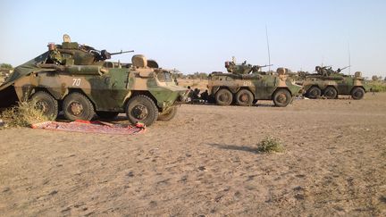 Des v&eacute;hicules de l'arm&eacute;e tchadienne, le 1er f&eacute;vrier 2015 &agrave; Fotokol (Cameroun), juste en face de Gamboru (Nigeria). (STEPHANE YAS / AFP)