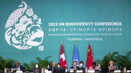 La COP 15 biodiversité à Montréal, au Canada, en décembre 2022 (LARS HAGBERG / AFP)