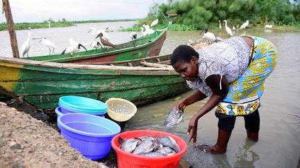 Lilian Atieno, marchande de poisson, prépare sa marchandise sur les rives du lac Victoria à Kisumu (Kenya), le 18 mars 2020. (JAMES KEYI / REUTERS)