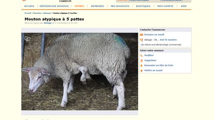 &nbsp; (Capture d'écran Leboncoin.fr)