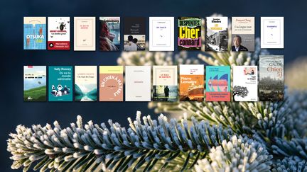 Couvertures des romans à glisser sous le sapin, 2022 (ROMAIN LONGIERAS / HANS LUCAS / HANS LUCAS VIA AFP)