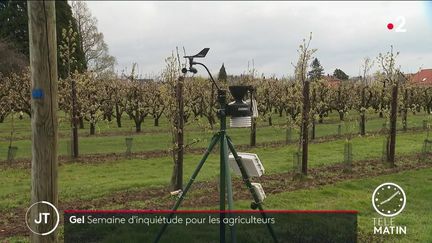 Météo : le gel préoccupe les agriculteurs