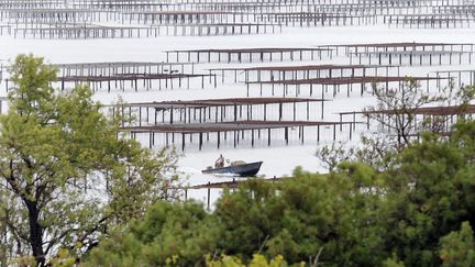 Vue générale d'un parc d'huitres dans l'étang de Thau à Marseillan prise le 16 aoùt 2008. (PASCAL GUYOT / AFP)