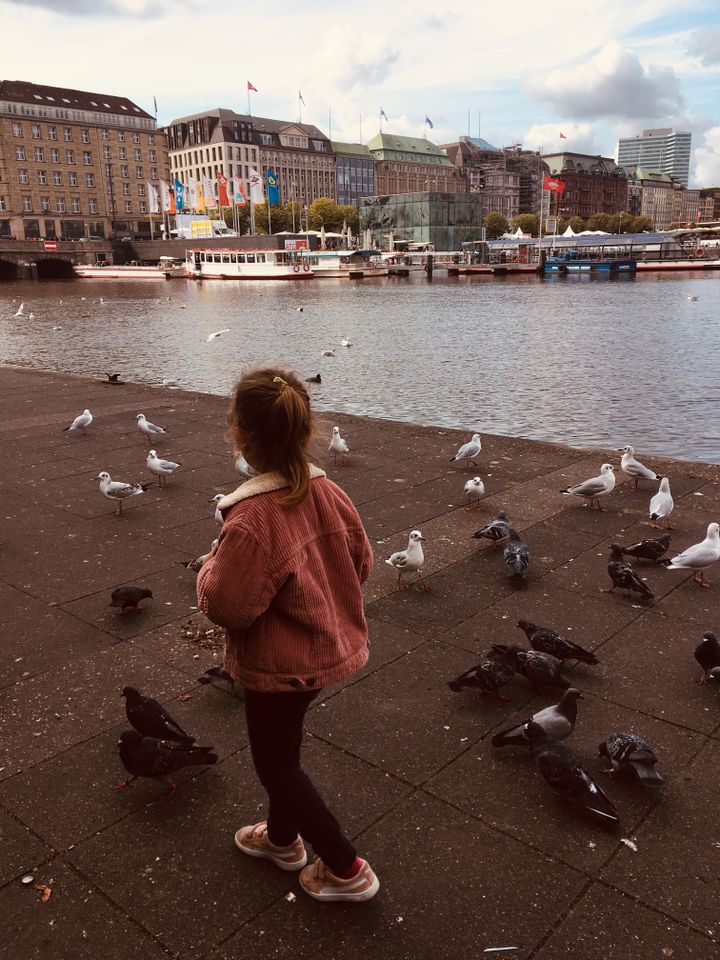 Lac intérieur de l'Alster (binnen Alster), à Hambourg. (INGRID POHU / RADIO FRANCE)