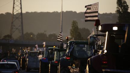 D'autres agriculteurs sont pass&eacute;s par l'A13 pour rejoindre Paris. La photo a &eacute;t&eacute; prise autour de Mantes-la-Jolie (Yvelines). (KENZO TRIBOUILLARD / AFP)