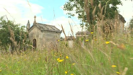 Les tombes et caveaux du cimetière monumental de Rouen trônent&nbsp;au milieu des fleurs. (France 3 Rouen)