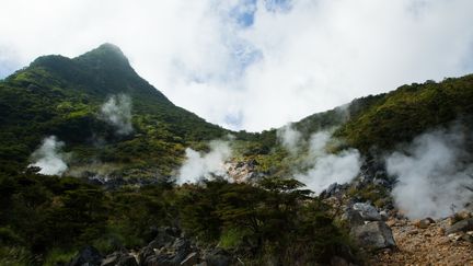De la vapeur d'eau s'élève au parc national de Hakone (Japon). (JOHN S LANDER / LIGHTROCKET via GETTYIMAGES)