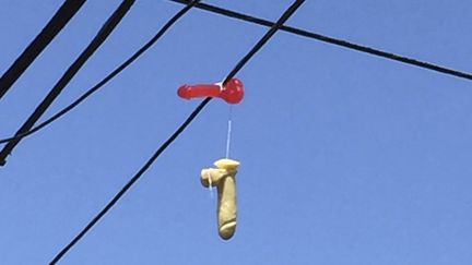 Une paire de sex-toys, accroch&eacute;e sur une ligne &eacute;lectrique &agrave; Portland (Oregon), le 13 juillet 2015. (REUTERS)