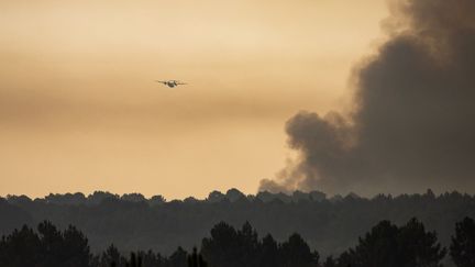 Un canadair survole la forêt, alors que les feux reprennent en Gironde, dans le secteur de Hostens, le 10 août. (JEROME GILLES / NURPHOTO)