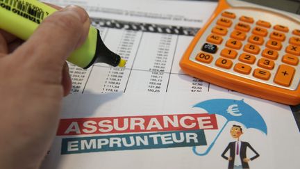 Une personne étudie son dossier d'assurance emprunteur, le 12 janvier 2018 (illustration). (JEAN-FRAN?OIS FREY / MAXPPP)