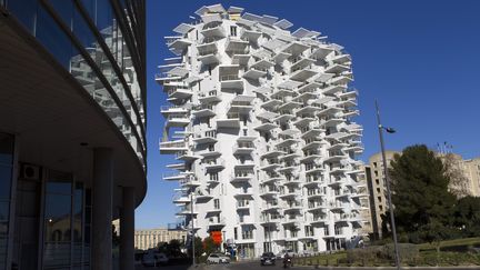 L'Arbre blanc, immeuble du futur à Montpellier (Hérault). (MAXPPP)