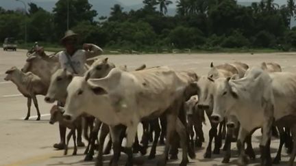 Birmanie : Naypyidaw, une cité fantôme