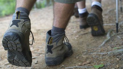 Santé : la marche, un exercice quasi quotidien que l'on fait par besoin ou par plaisir