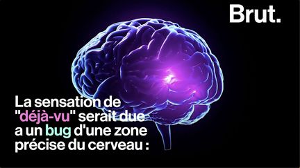 Parfois, on a la sensation d'avoir déjà vécu dans le passé la situation dans laquelle on est. Et cela peut s'expliquer.