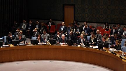 Réunion sur la Syrie au Conseil de sécurité de l'ONU, à New York, le 22 février 2018. (MOHAMMED ELSHAMY / ANADOLU AGENCY / AFP)