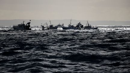 Une flottille de chalutiers attend le début de la saison des coquilles Saint-Jacques dans la baie de Seine, le 13 novembre 2017. (PASCAL ROSSIGNOL / REUTERS)