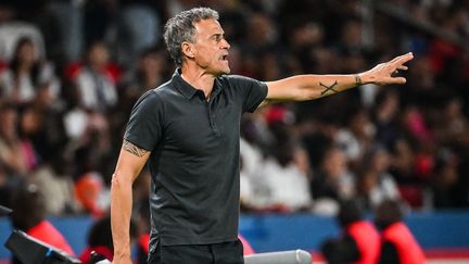 Luis Enrique lors du match PSG-Lorient, à l'occasion de la première journée de Ligue 1, au Parc des Princes, le 12 août 2023. (MATTHIEU MIRVILLE / AFP)