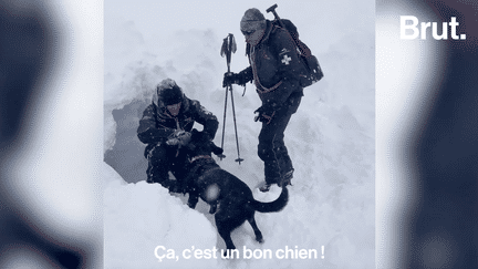 A plus de 3000 mètres d’altitude, ils sont formés à trouver les victimes sous la neige en cas d’avalanche. Brut a suivi plusieurs maîtres-chiens en formation au col de Chalance dans les Alpes.