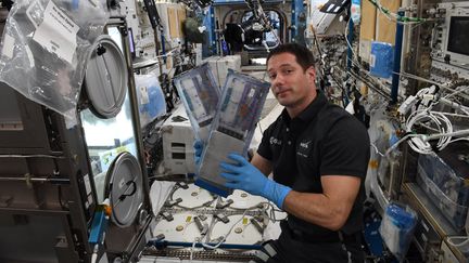 L'astronaute français Thomas Pesquet nourrit des tardigrades à bord de la Station spatiale internationale, le 20 septembre 2021. (THOMAS PESQUET / ESA)