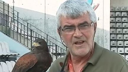 Roland-Garros : un fauconnier pour dissuader les pigeons de gâcher le spectacle