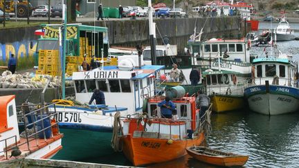 &nbsp; (Port de pêche sur l'île de Chiloé au Chili © Maxppp)